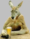 kangaroo web.jpg