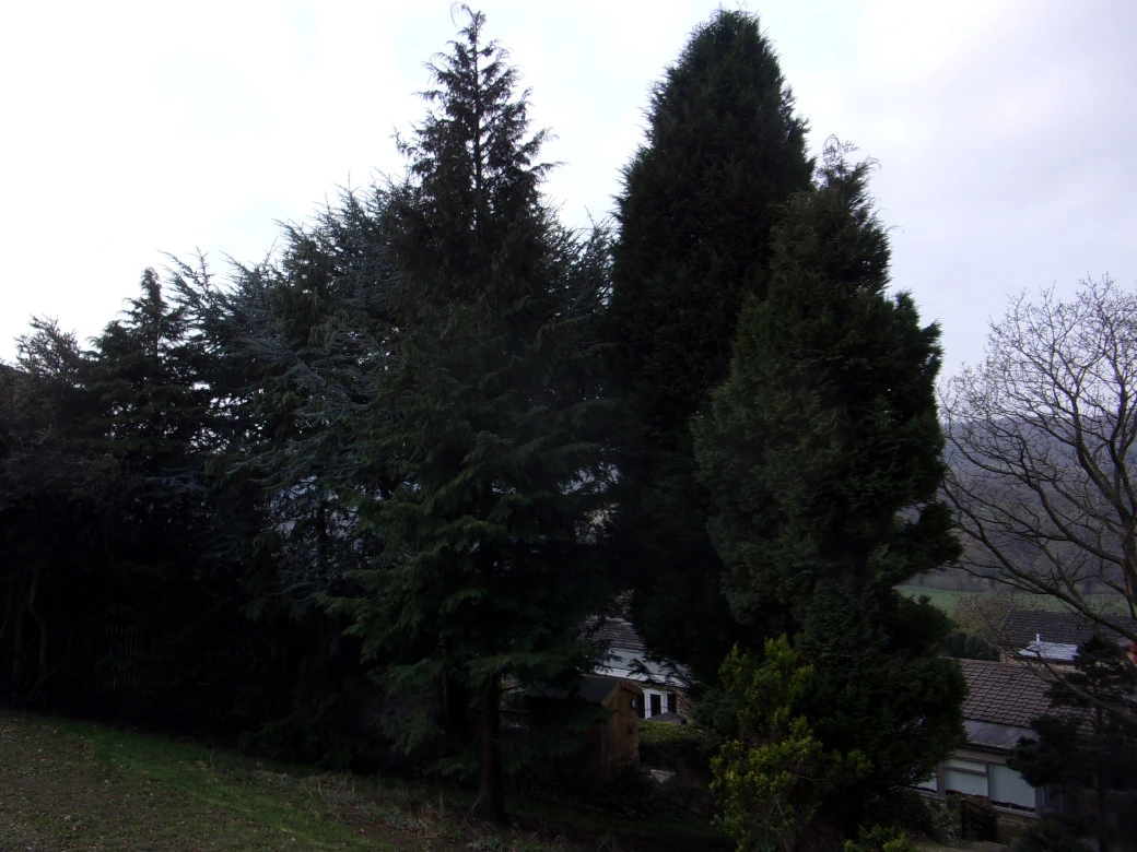 12 March 2022_0002.webp