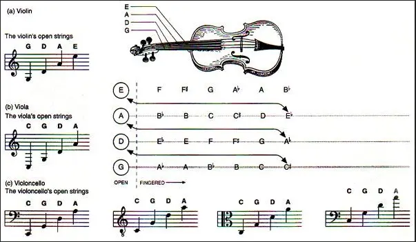 1669367283159.webp