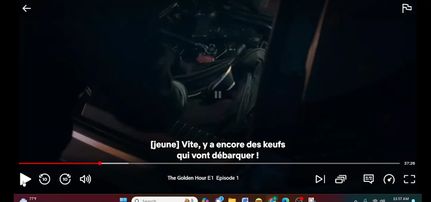 1703523937583.webp
