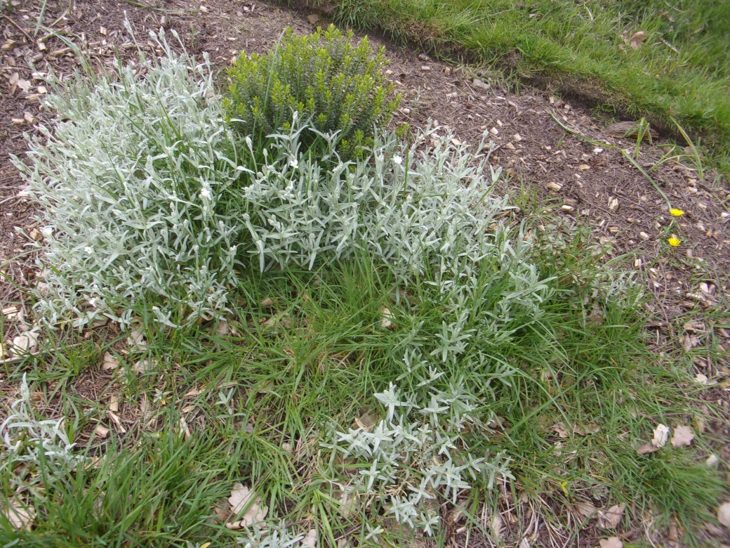 30 Apl 2023_0003.webp