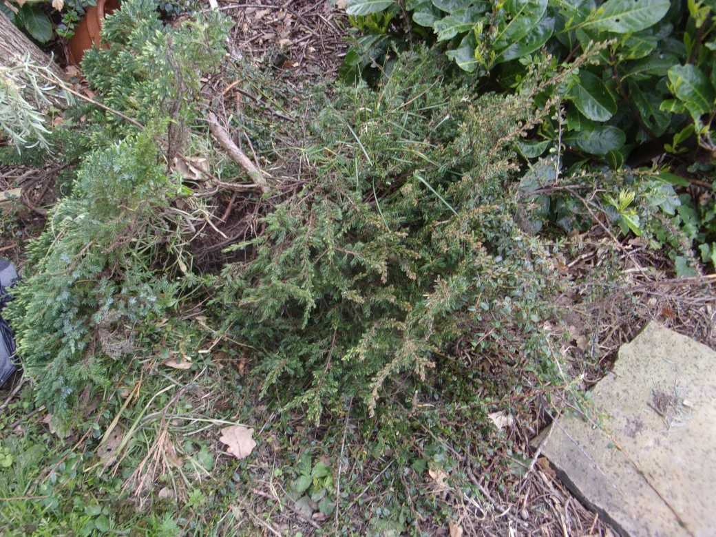 30 Apl 2023_0005.webp