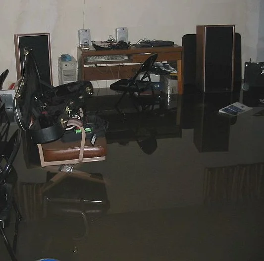 basement water.webp