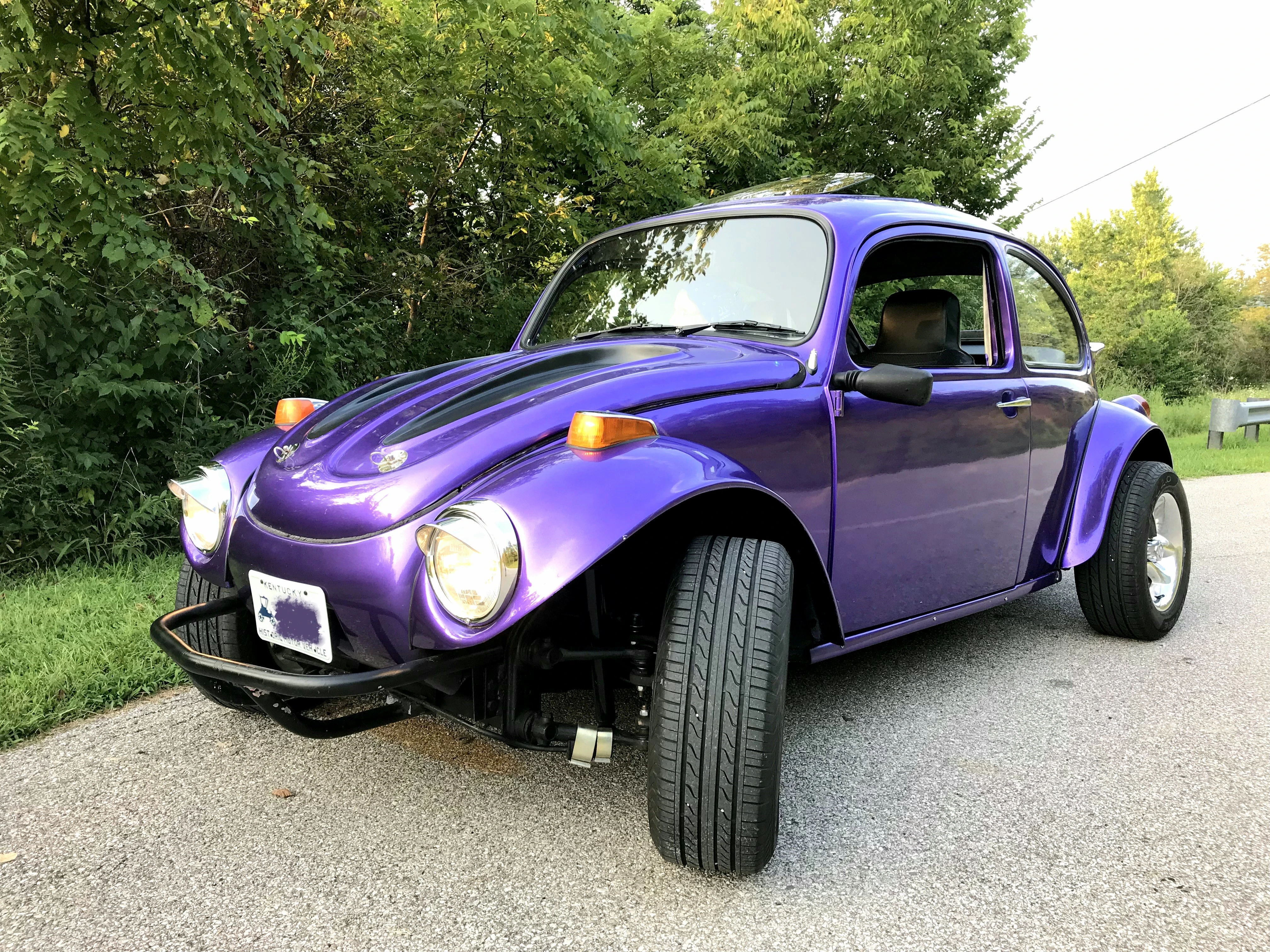 Bug1a.webp