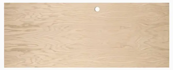 door.webp