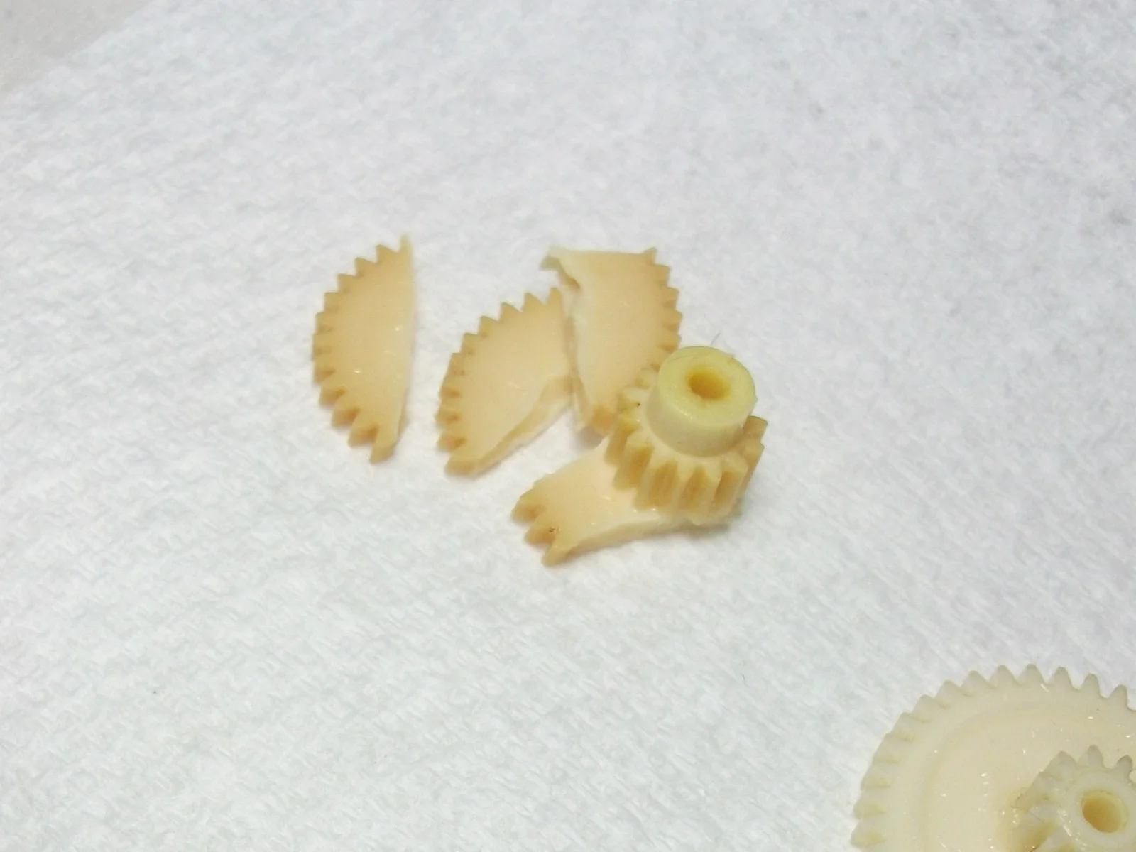 DSCF6447.webp