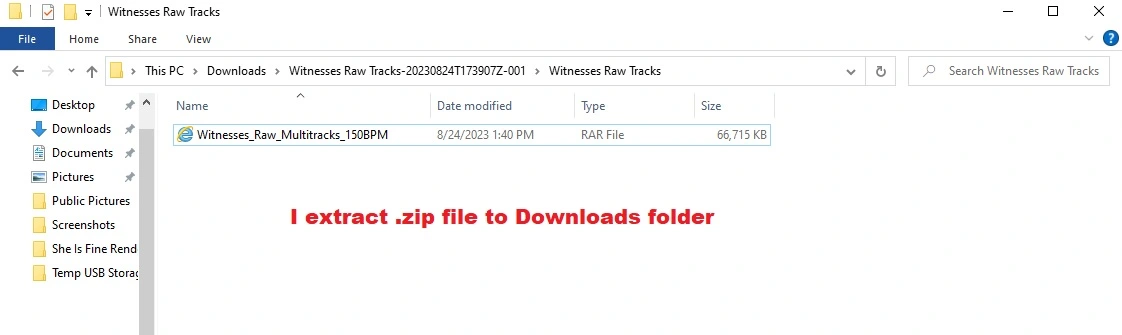 extract to downloads.webp