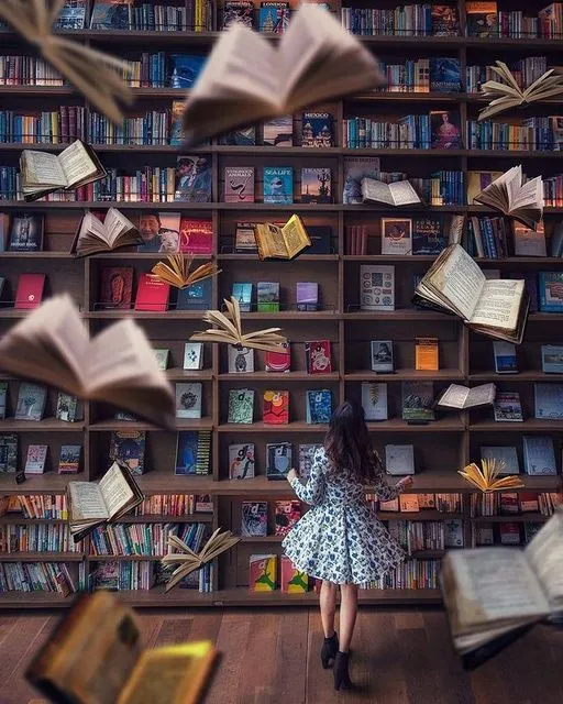 flyingbooks.webp