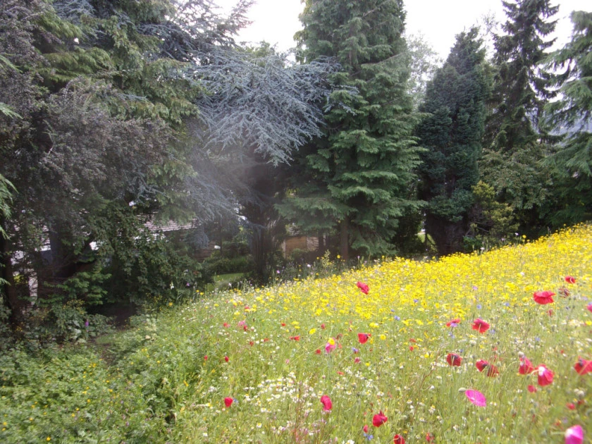 Forum pics_0001.webp