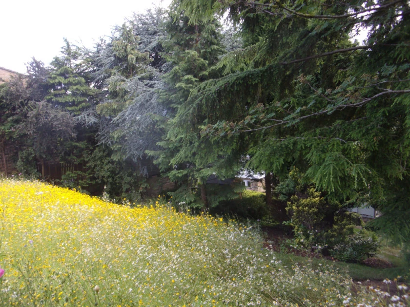 Forum pics_0002.webp