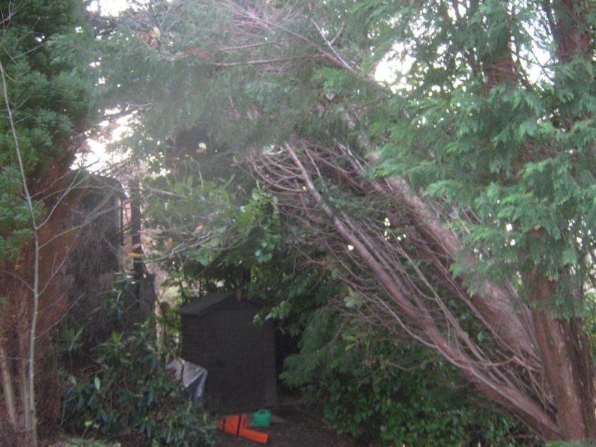 Forum pics_0005.webp