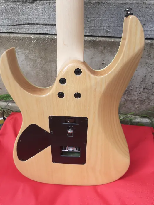 Ibanez2.webp