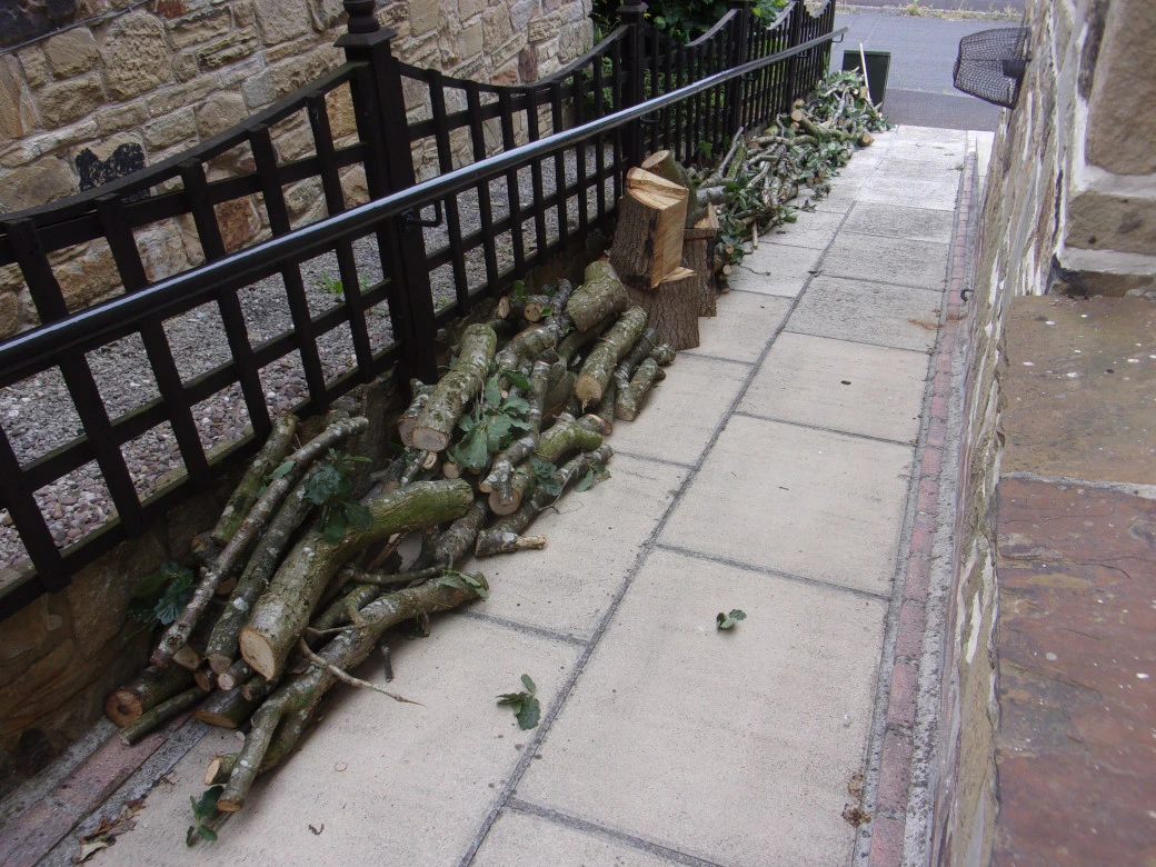 logs 23 June 23_0002.webp