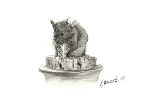 Rabbits & Mouse 01.webp