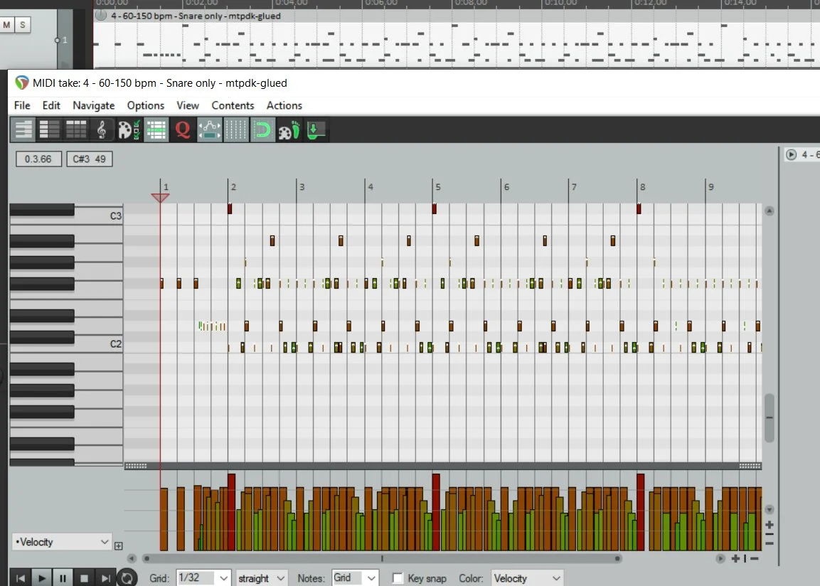 Raw MTPDK Midi.webp