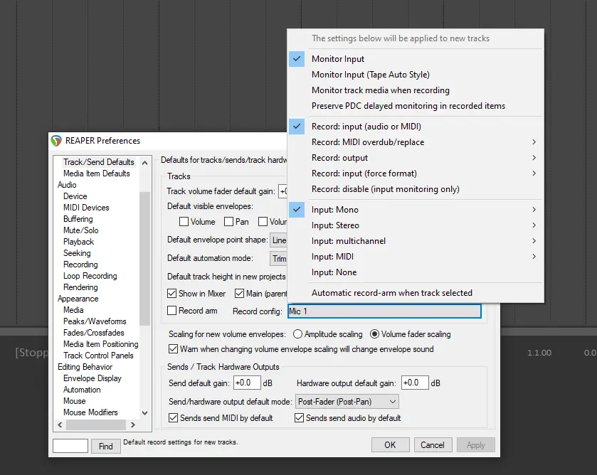 Reaper Record config.webp