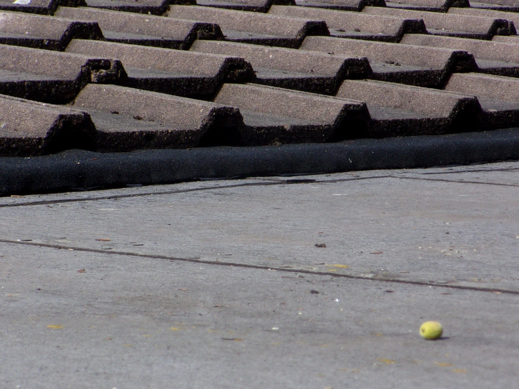 Roof completed_0002.webp