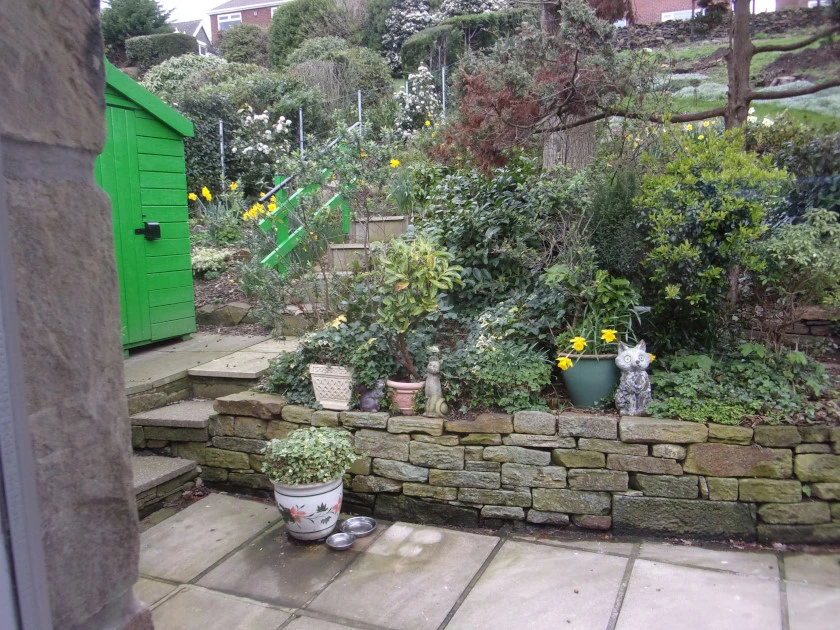 Steep garden_0002.webp