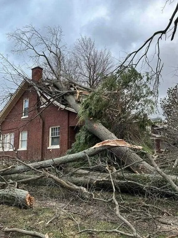 Storm Damage March 5.webp