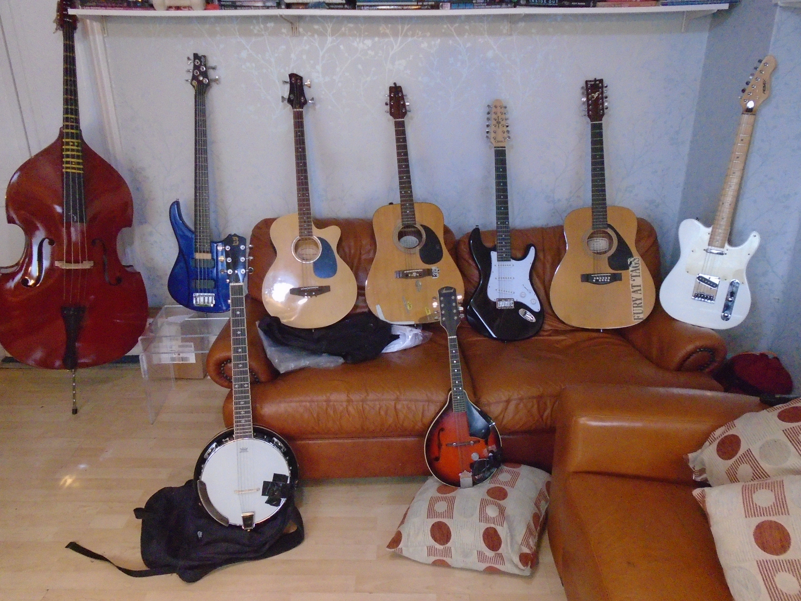 Stringed things.webp