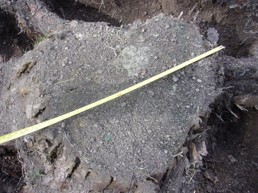 Stumps Mar 2023_0002.webp