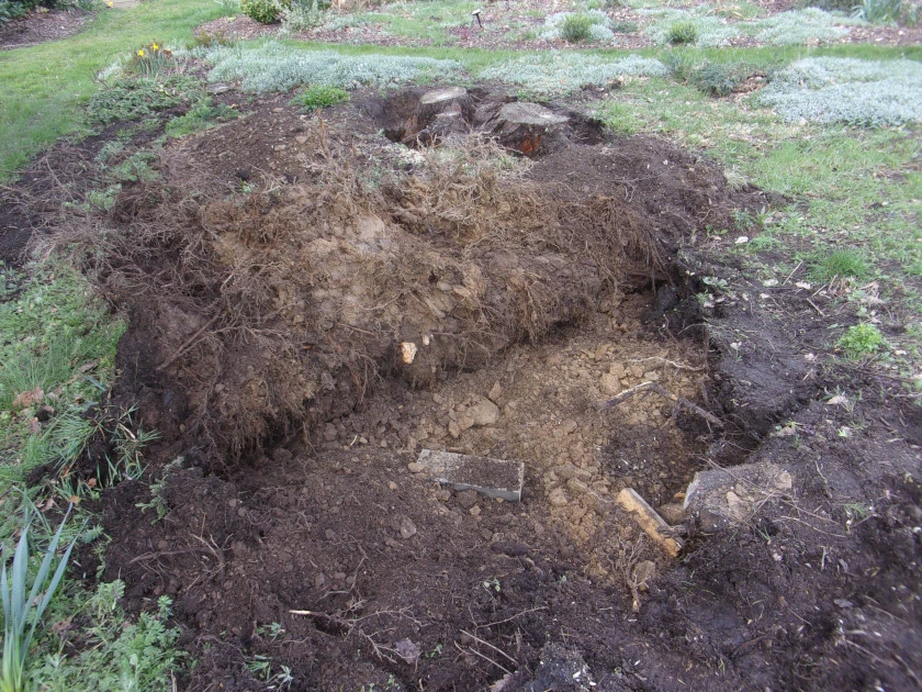 Stumps Mar 2023_0008.webp