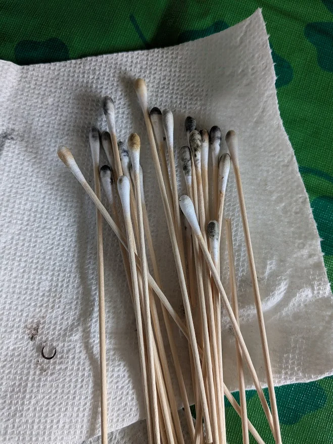 swabs.webp