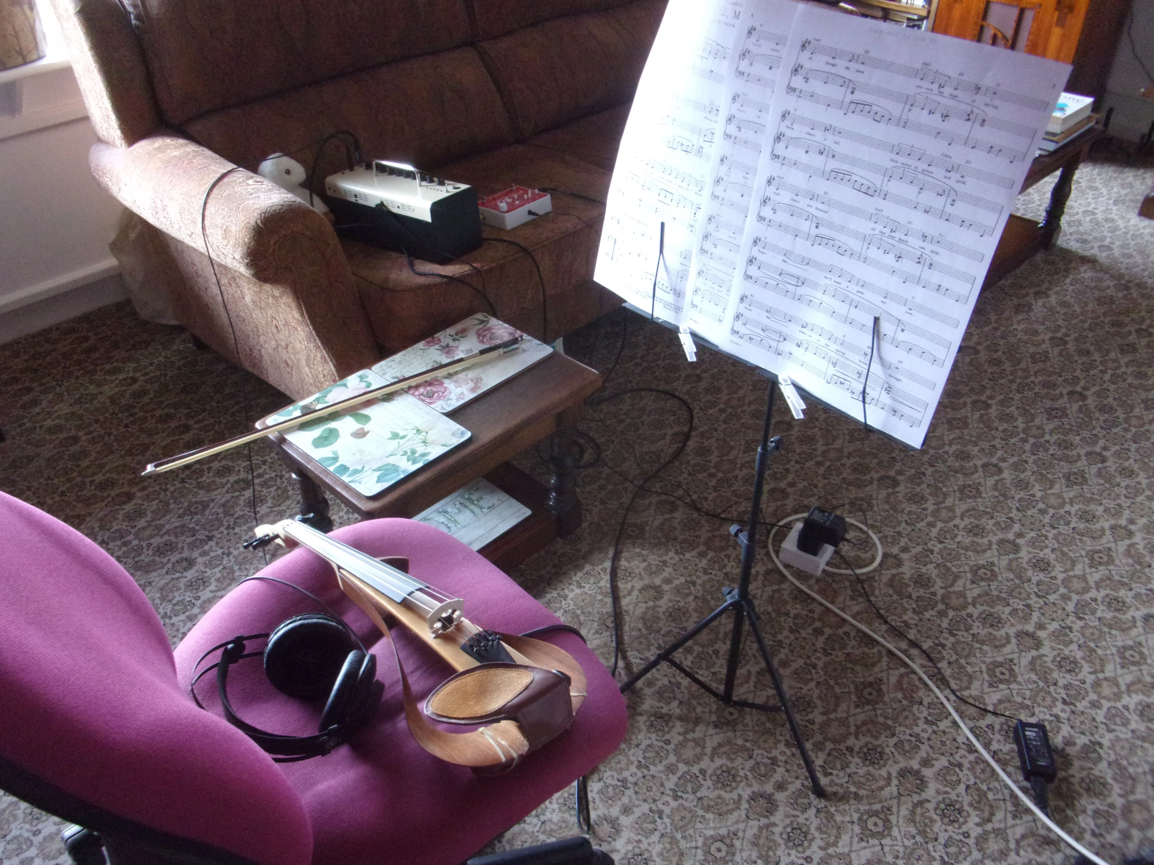 Violin set up._499.webp