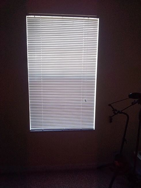 Window Blinds Down 2.webp
