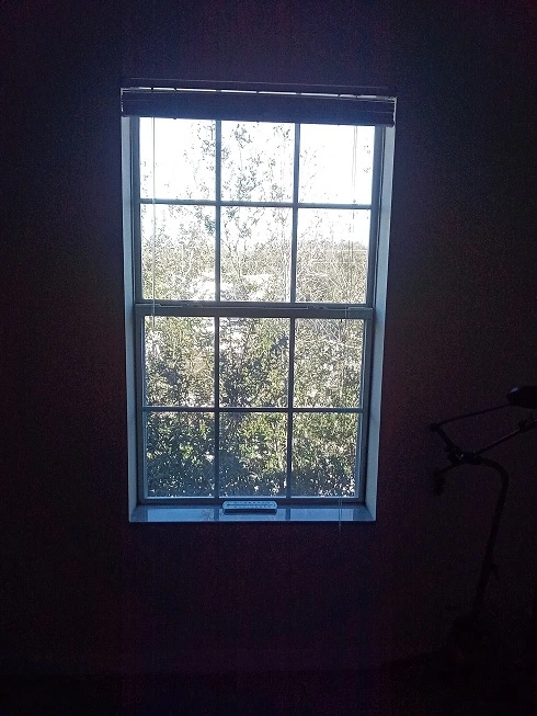 Window Blinds Up 2.webp