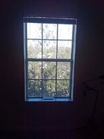 Window Blinds Up 2.jpg
