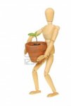 9651833-an-artists-wooden-manikin-holding-a-plant-seedling-in-a-pot-isolated-against-white.jpg
