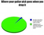 guitar_pick_pie_chart.jpeg