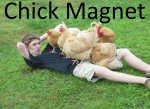 Chick Magnet.jpg