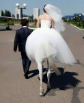 bride-as-horse.jpg