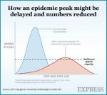 Coronavirus-peak-COVID-19-pandemic-chart-2368038.jpg
