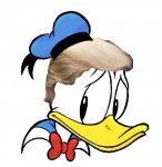 Donald Lame Duck.jpg