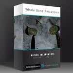 Whale Bone Percussion Box 4000 x 4000.jpg