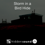 Storm in a Bird Hide cover 400 x 400.png