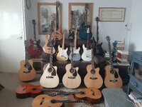 All 17 Guitars.jpg