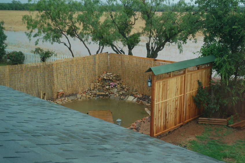 pond.jpg