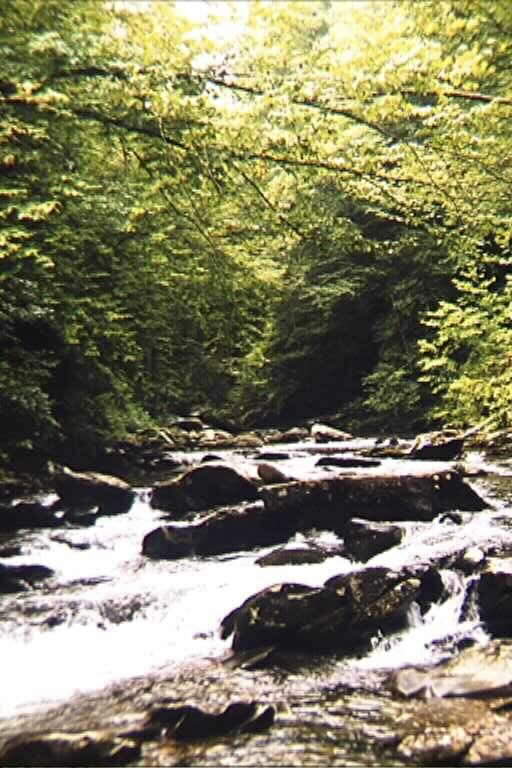 50086_05.jpg