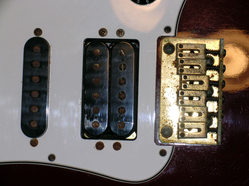 bottom_nostring.jpg