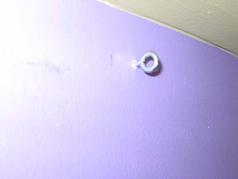 eye.jpg