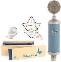 Bluebird.jpg
