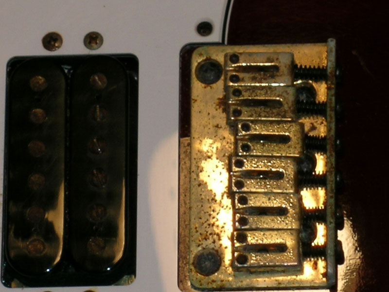 bottom_closeup.jpg