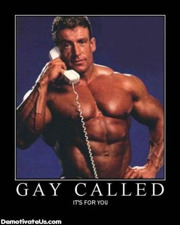 gay+called+demotivational+poster1251904186.jpg