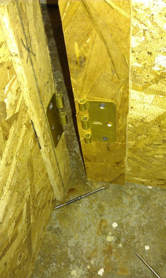 riser03.jpg